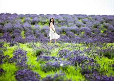 Summer Hokkaido
